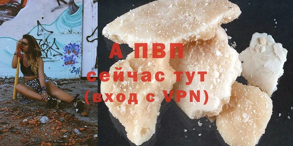 стаф Горняк