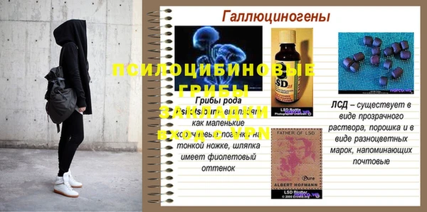 дмт Горнозаводск
