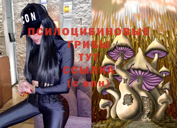 дмт Горнозаводск
