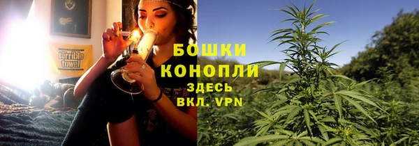 стаф Горняк