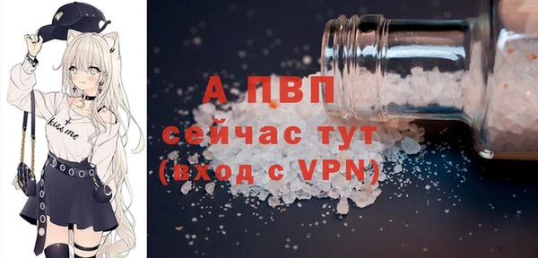 стаф Горняк