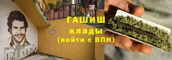 стаф Горняк