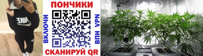 Бошки марихуана LSD WEED  Купить  Пермь 